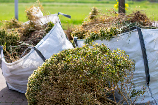 Best Yard Waste Removal  in Derby, CO